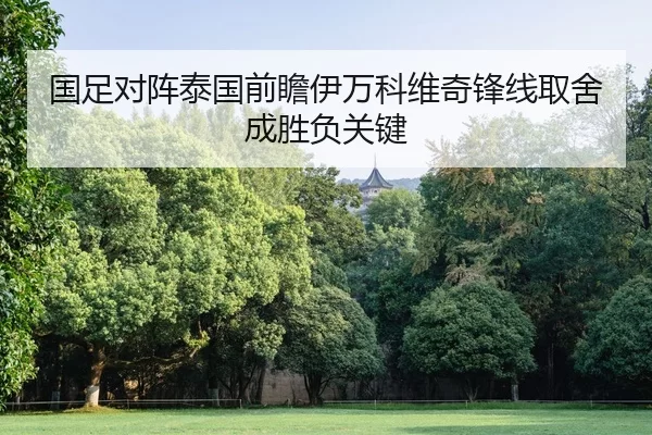 国足对阵泰国前瞻伊万科维奇锋线取舍成胜负关键