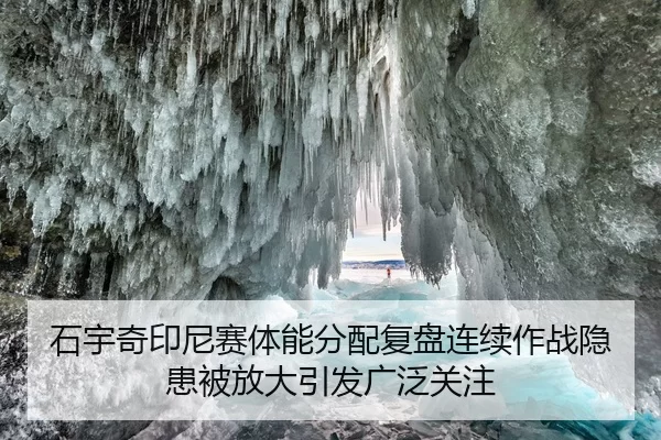 shi-yu-qi-yin-ni-sai-ti-neng-fen-pei-fu-pan-lian-xu-zuo-zhan-yin-huan-bei-fang-da-yin-fa-guang-fan-guan-zhu-2-402.jpg