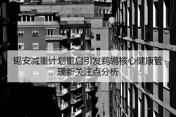 锡安减重计划重启引发鹈鹕核心健康管理新关注点分析