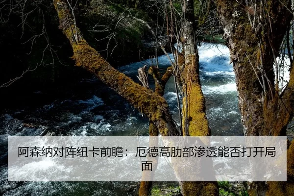 阿森纳对阵纽卡前瞻：厄德高肋部渗透能否打开局面