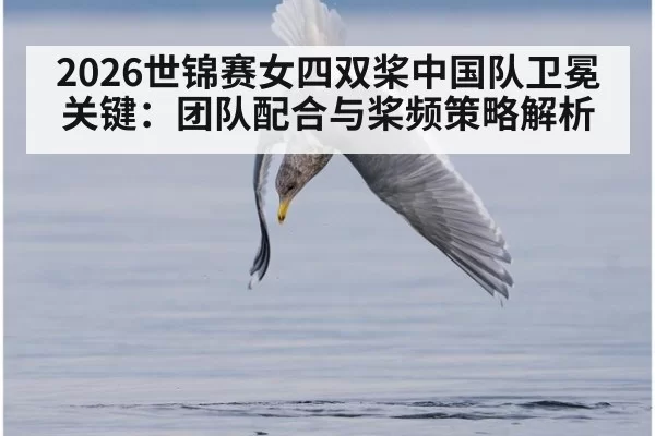 2026世锦赛女四双桨中国队卫冕关键：团队配合与桨频策略解析